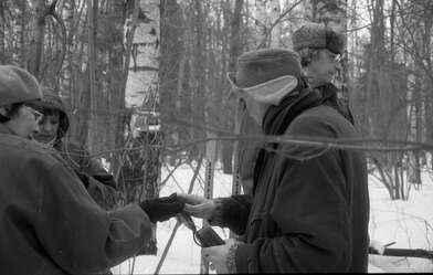 Collective action 83. Photo - 101