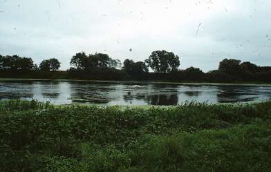 Collective action Second Picture. Photo - 8