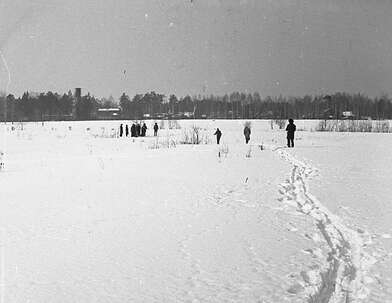Collective action Observing the Waterfall. Photo - 37