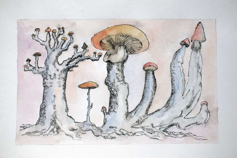 Elena Elagina. Artwork Mushrooms