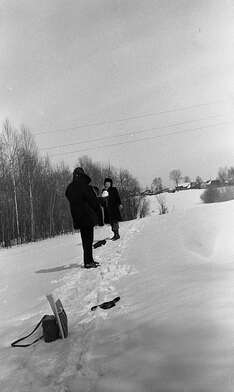 Collective action Observing the Waterfall. Photo - 9