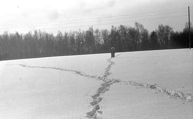 Акция КД 10 Появлений. Фотография - 120