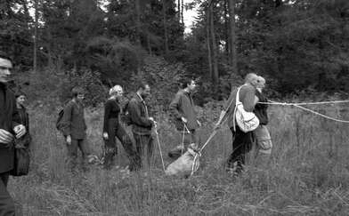 Collective action The Sack. Photo - 74