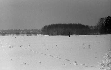 Collective action Observing the Waterfall. Photo - 22