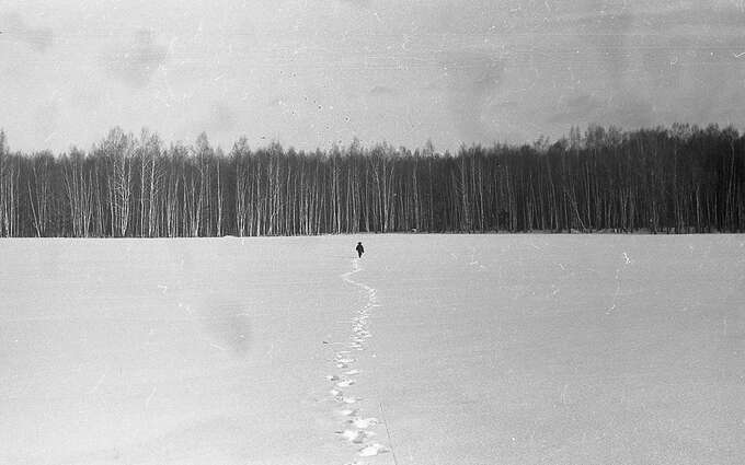 10 Appearances, February 1, 1981