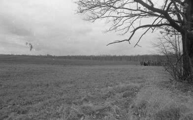 Collective action Image of a Rhombus. Photo - 1