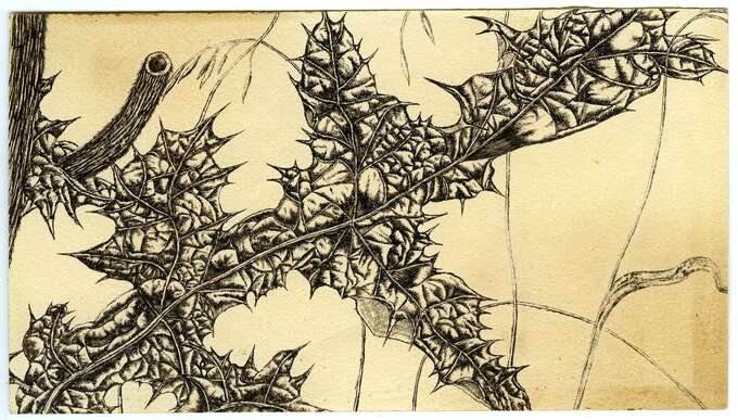 Игорь Макаревич. Лист татарника