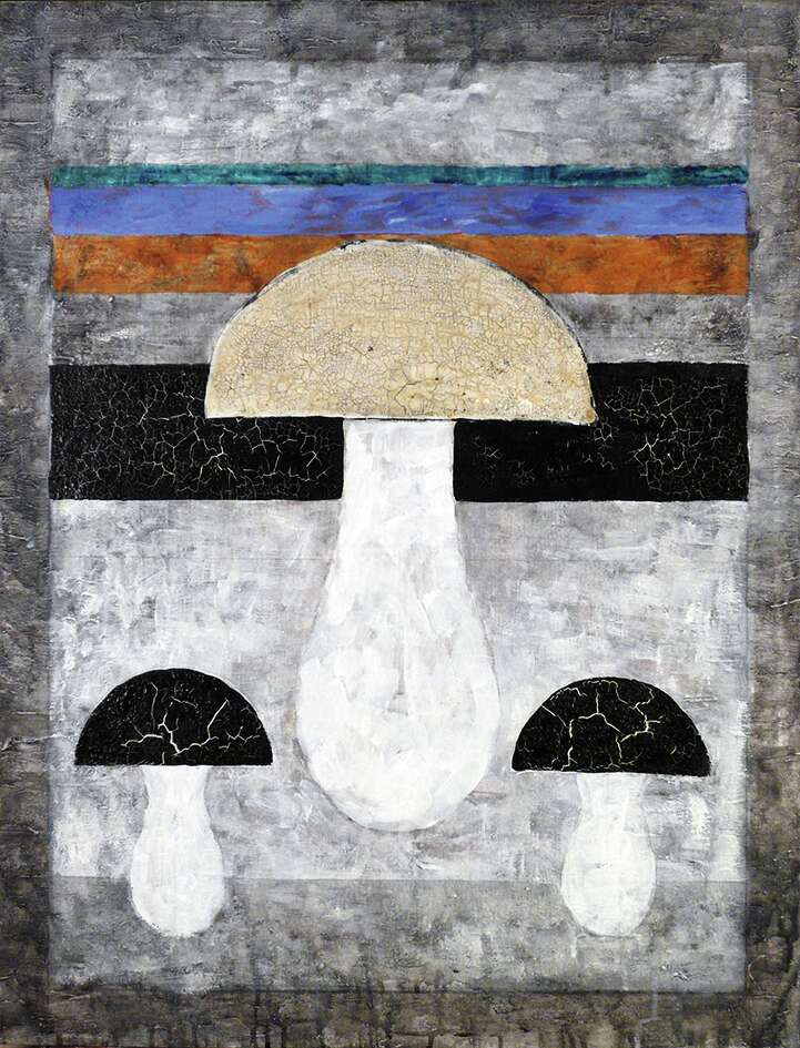 Igor Makarevich, Elena Elagina. Artwork Mushrooms of the Russian Avant-Garde - 4