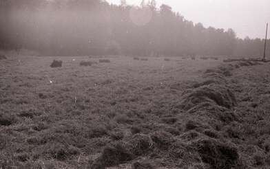 Акция КД М. Фотография - 32