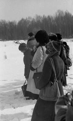 Collective action Observing the Waterfall. Photo - 44