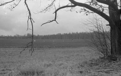 Collective action Image of a Rhombus. Photo - 6