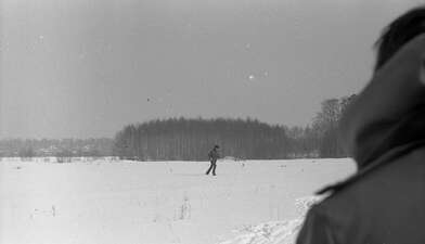 Collective action Observing the Waterfall. Photo - 17