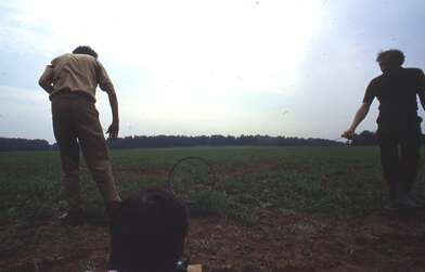 Collective action Moving of the Audience. Photo - 10