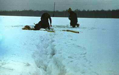 Collective action Russian World. Photo - 10