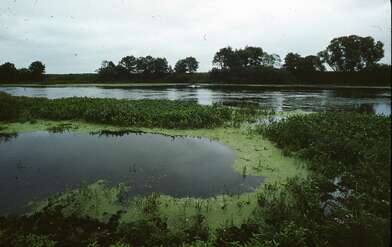 Collective action Second Picture. Photo - 7