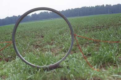 Collective action Moving of the Audience. Photo - 4