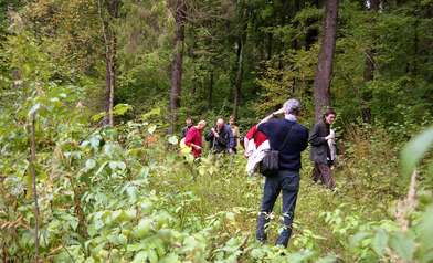 Collective action The Sack. Photo - 19