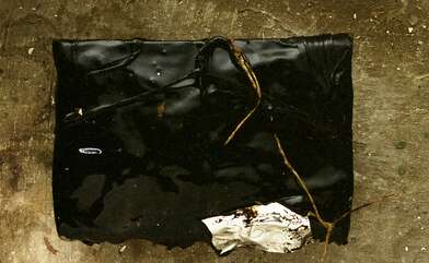 Collective action Library. Photo - 8