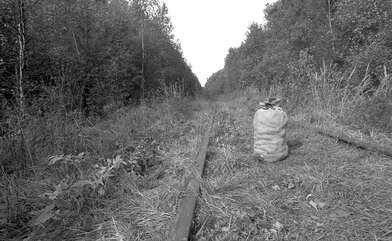 Collective action The Sack. Photo - 60