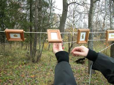 Акция КД Деревни. Фотография - 5