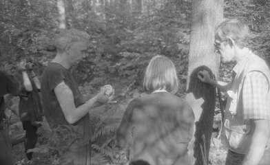 Collective action Library. Photo - 101