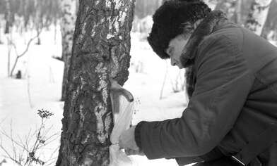 Акция КД За КД — 2. Фотография - 7