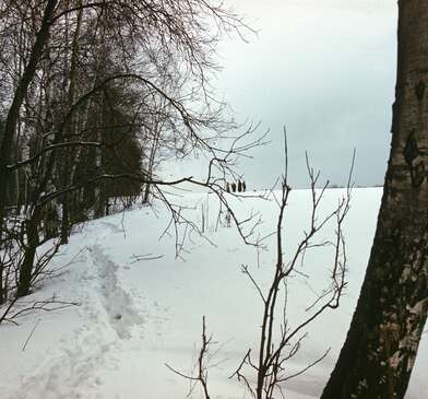 Collective action Russian World. Photo - 16