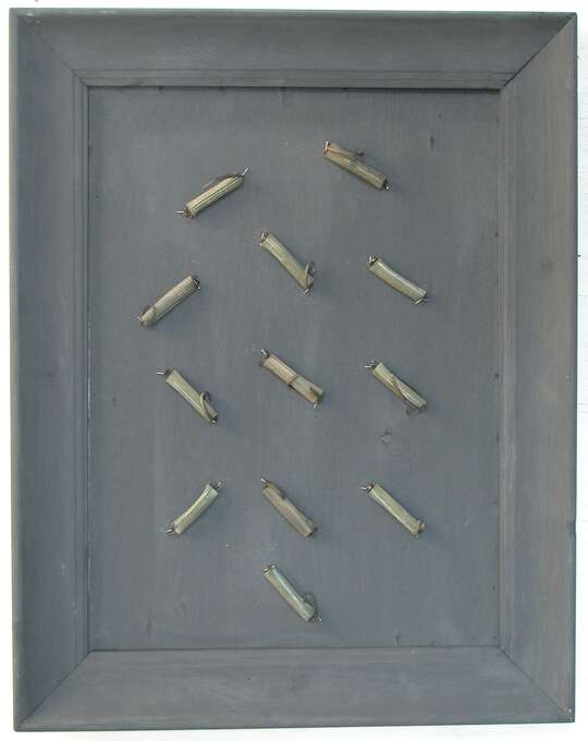 Игорь Макаревич, Елена Елагина. Караван