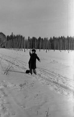 Collective action Observing the Waterfall. Photo - 12