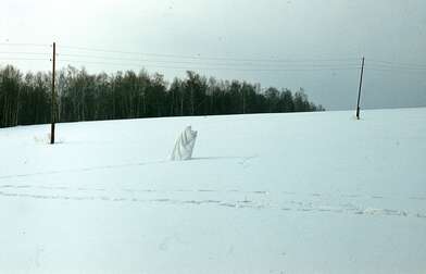 Collective action Description of Action. Photo - 32