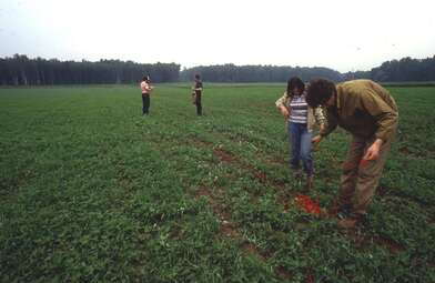 Collective action Moving of the Audience. Photo - 12