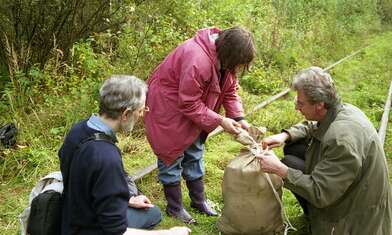 Collective action The Sack. Photo - 7