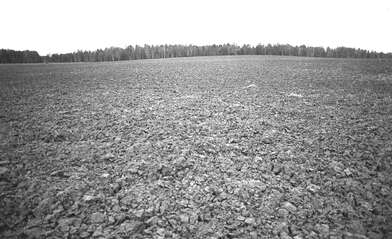 Collective action Place of Action. Photo - 65