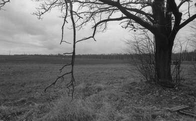 Collective action Image of a Rhombus. Photo - 2