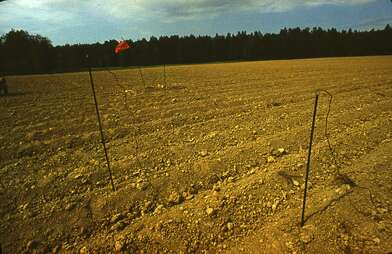 Акция КД Выстрел. Фотография - 22