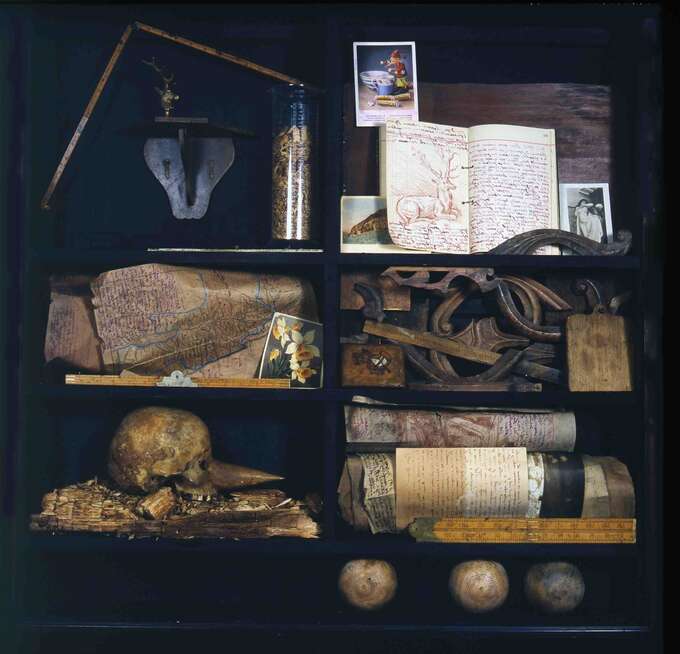 Игорь Макаревич. Книга леса