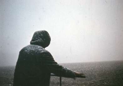 Акция КД Ворот. Фотография - 27