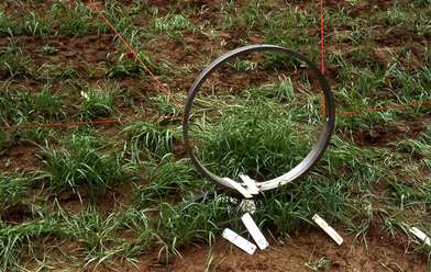 Collective action Moving of the Audience. Photo - 21