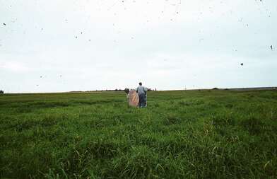 Collective action Second Picture. Photo - 19