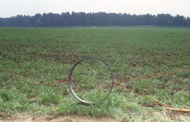 Collective action Moving of the Audience. Photo - 1