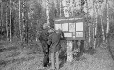 Акция КД Стенд-газета. Фотография - 35