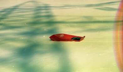 Акция КД Рыбак. Фотография - 22