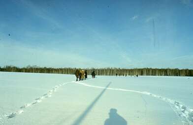 Акция КД 10 Появлений. Фотография - 16