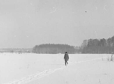 Collective action Observing the Waterfall. Photo - 35