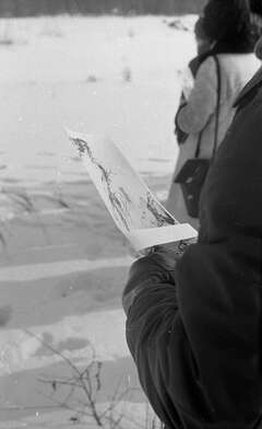 Collective action Observing the Waterfall. Photo - 42