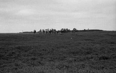 Collective action Second Picture. Photo - 35