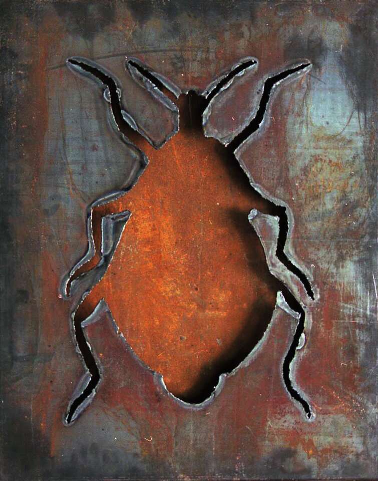 Elena Elagina. Artwork Iron Fly