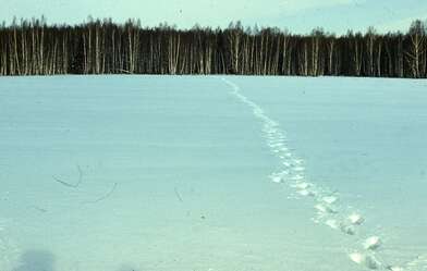 Акция КД 10 Появлений. Фотография - 44