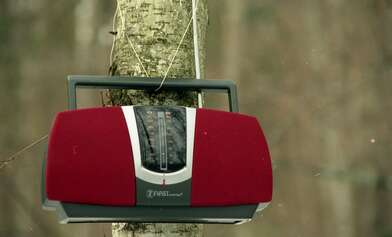 Collective action 83. Photo - 52