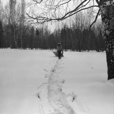 Collective action To Panitkov. Photo - 131